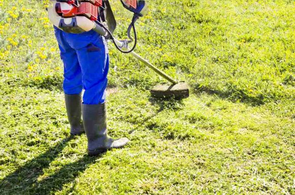 Entreprise pour l’entretien annuel de jardin de particulier à Tournus