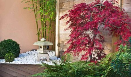 Entreprise pour la création d’un jardin zen japonais chez un particulier à Tournus